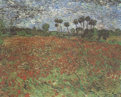 Vincent Van Gogh Field with Poppies (nn04) oil painting picture